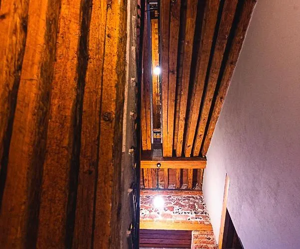 Del Lofts Downtown Hotel *